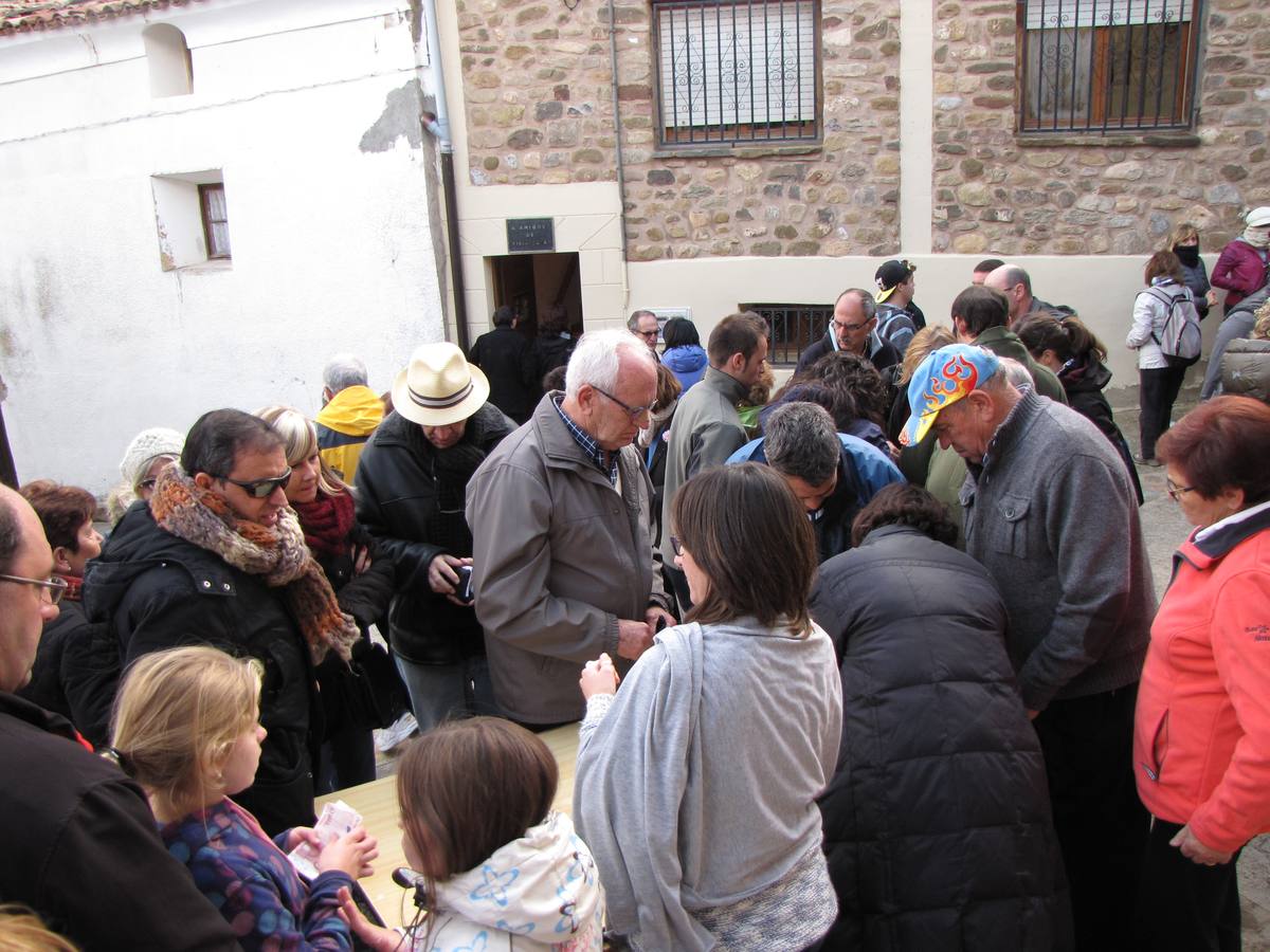 XXI Jornadas micológicas de Villarroya (II)