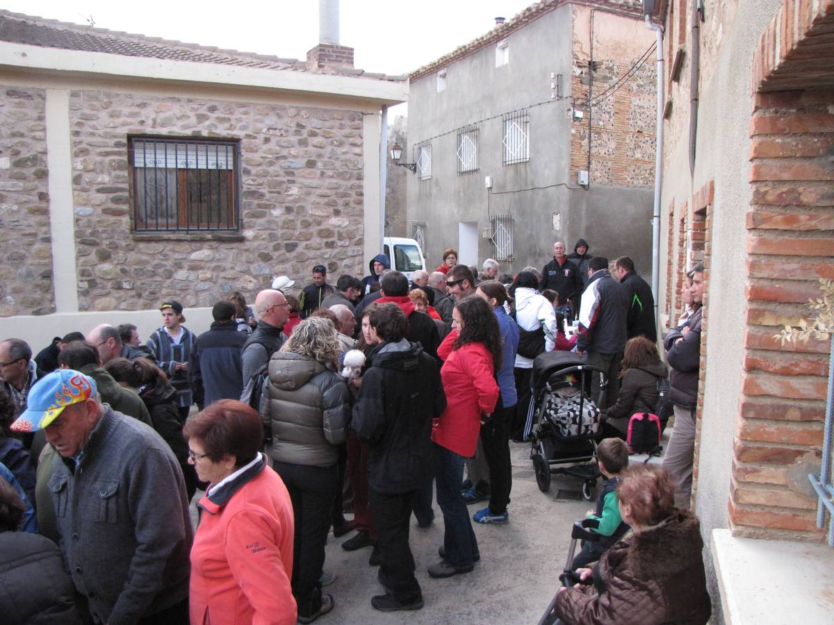 XXI Jornadas micológicas de Villarroya (II)