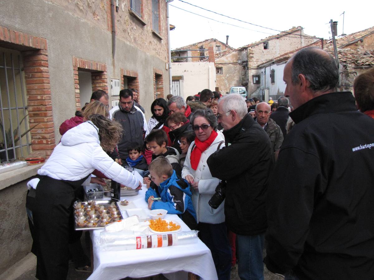 XXI Jornadas micológicas de Villarroya (II)