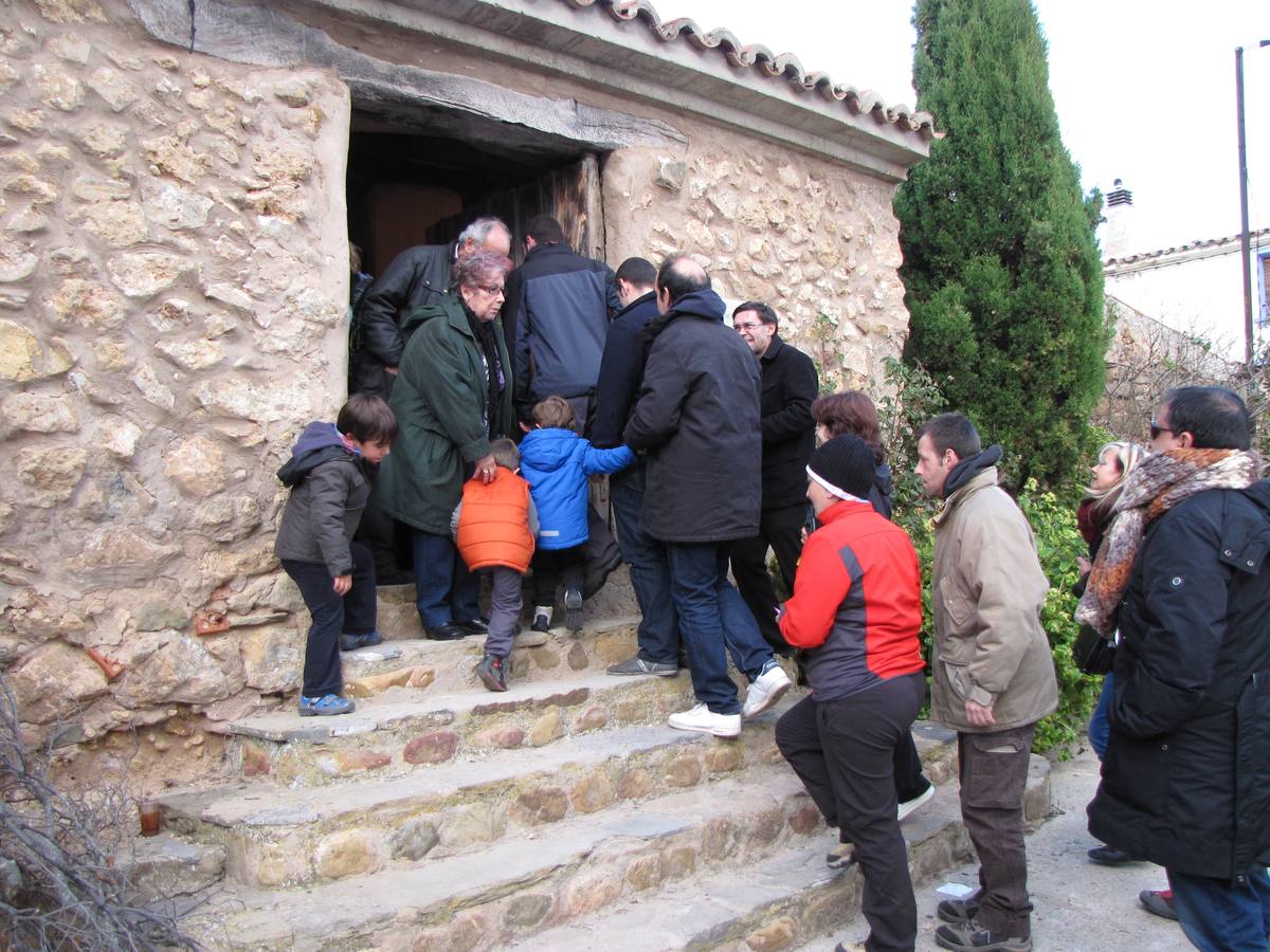 XXI Jornadas micológicas de Villarroya (II)