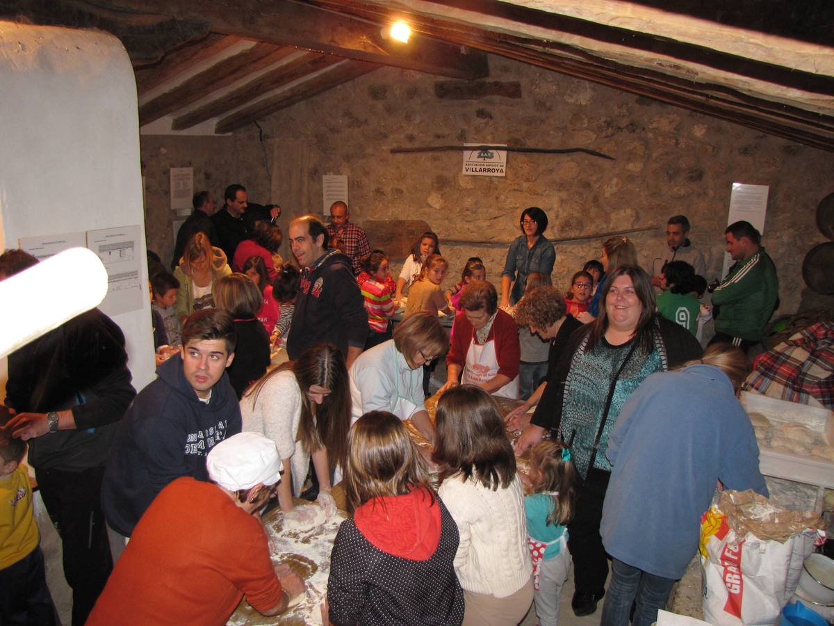 XXI Jornadas micológicas de Villarroya (II)