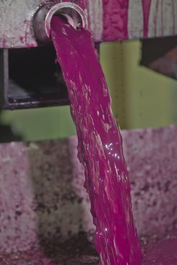 Vino antes de ser vino