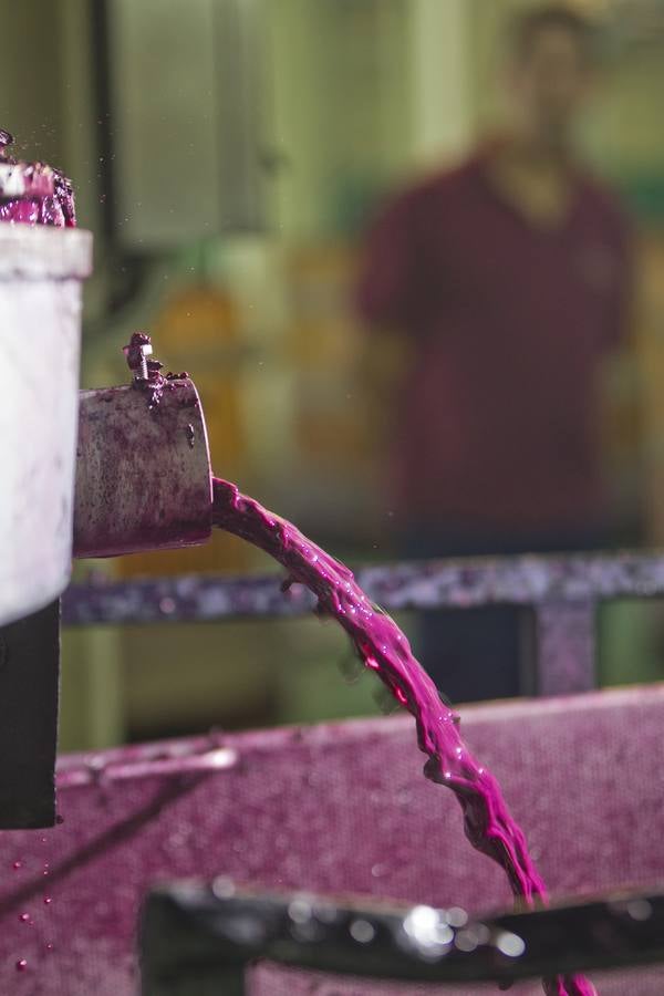 Vino antes de ser vino