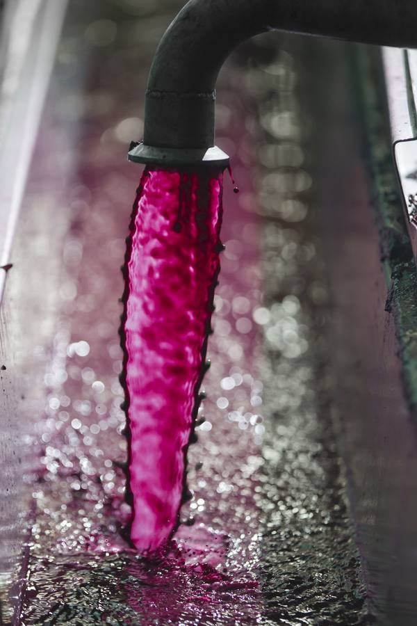 Vino antes de ser vino