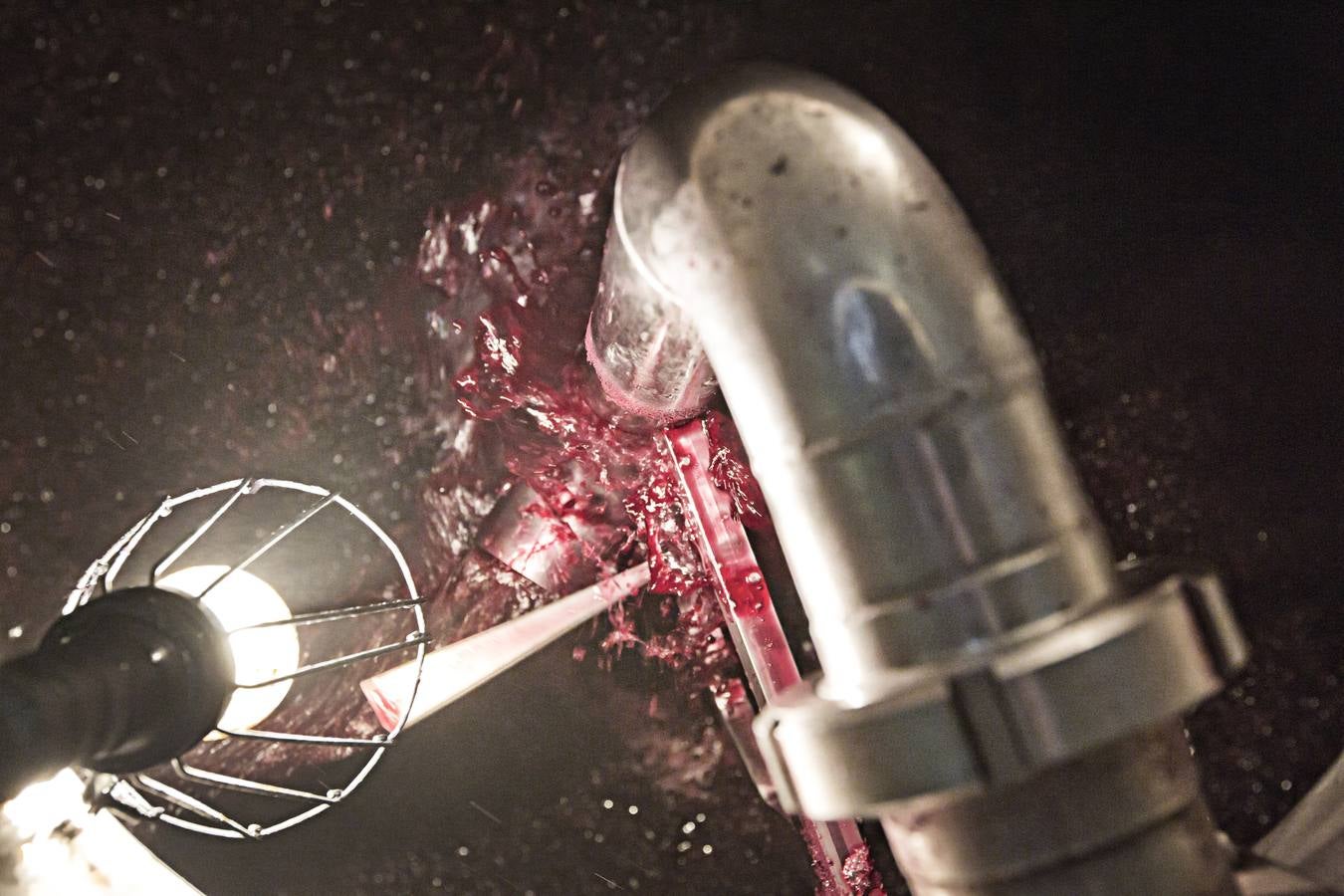 Vino antes de ser vino