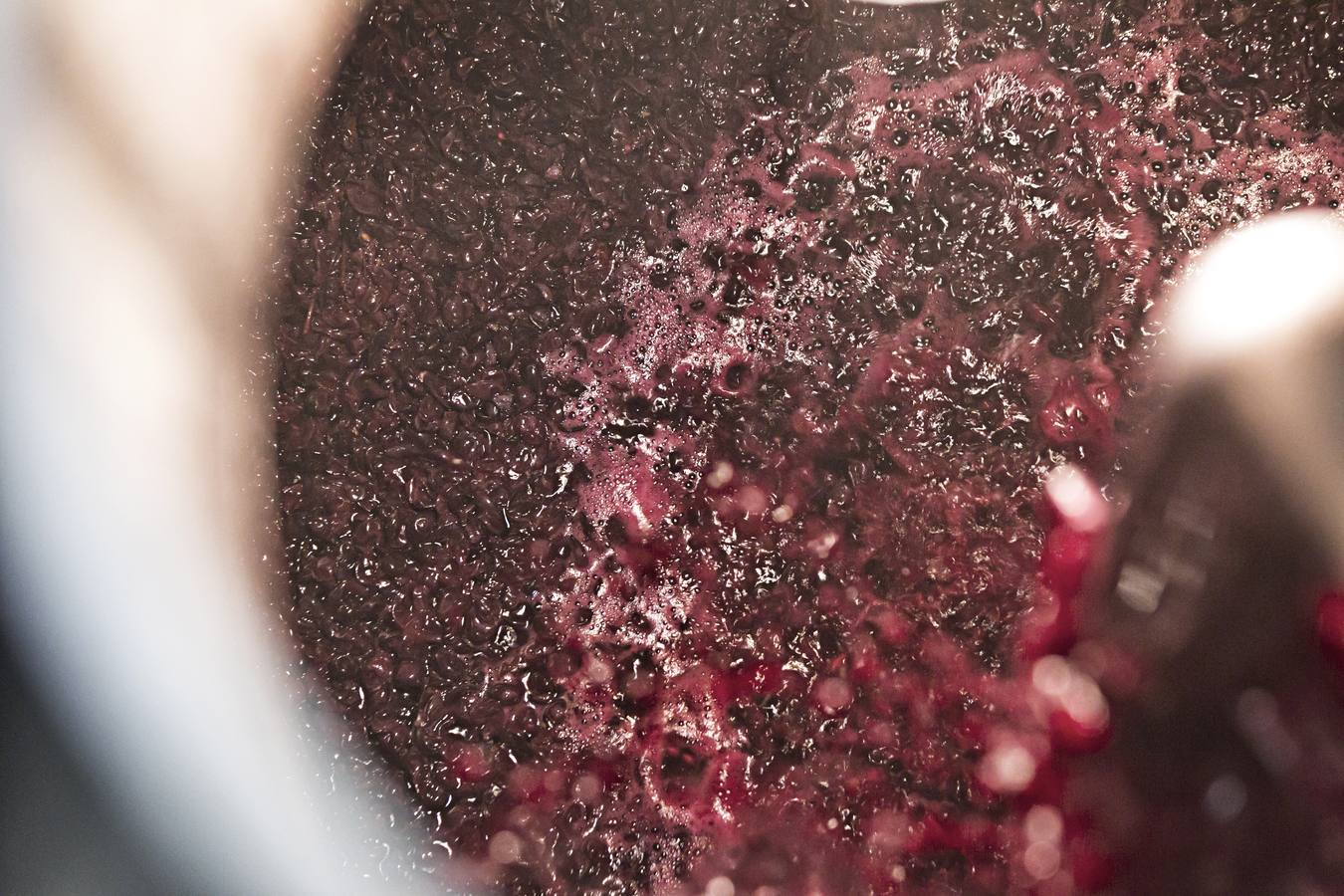 Vino antes de ser vino