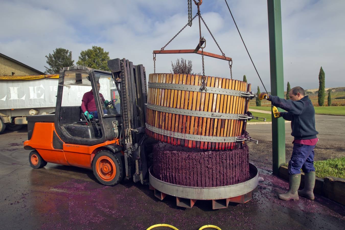 Vino antes de ser vino