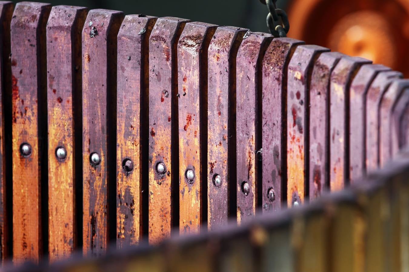 Vino antes de ser vino