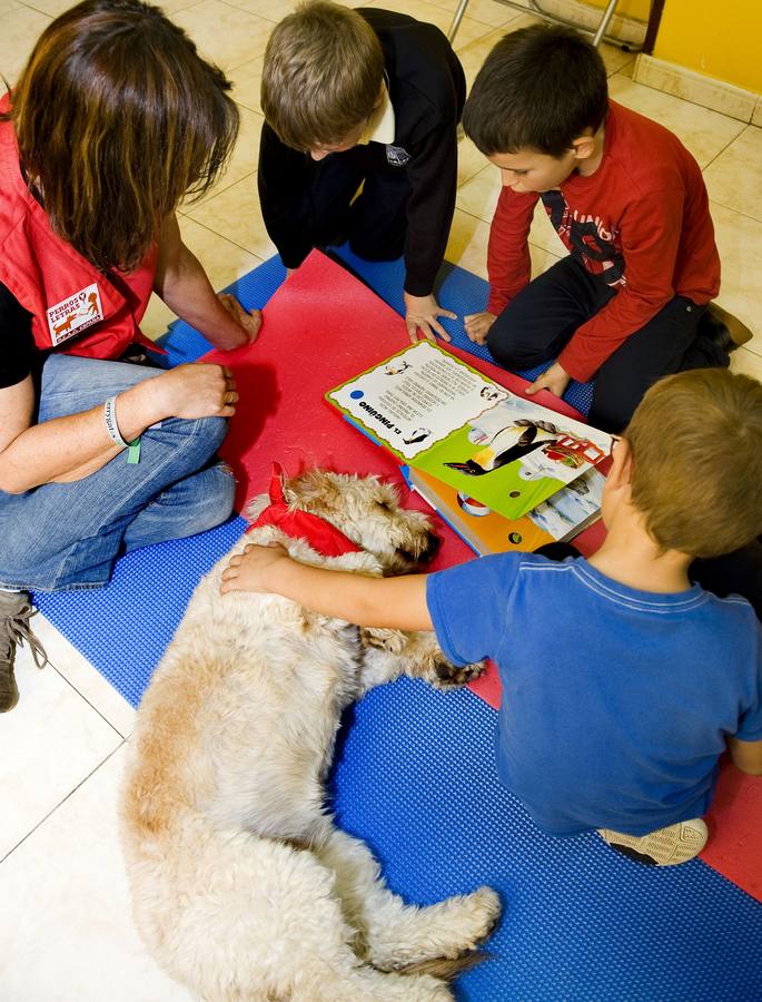 Contar historias a una mascota