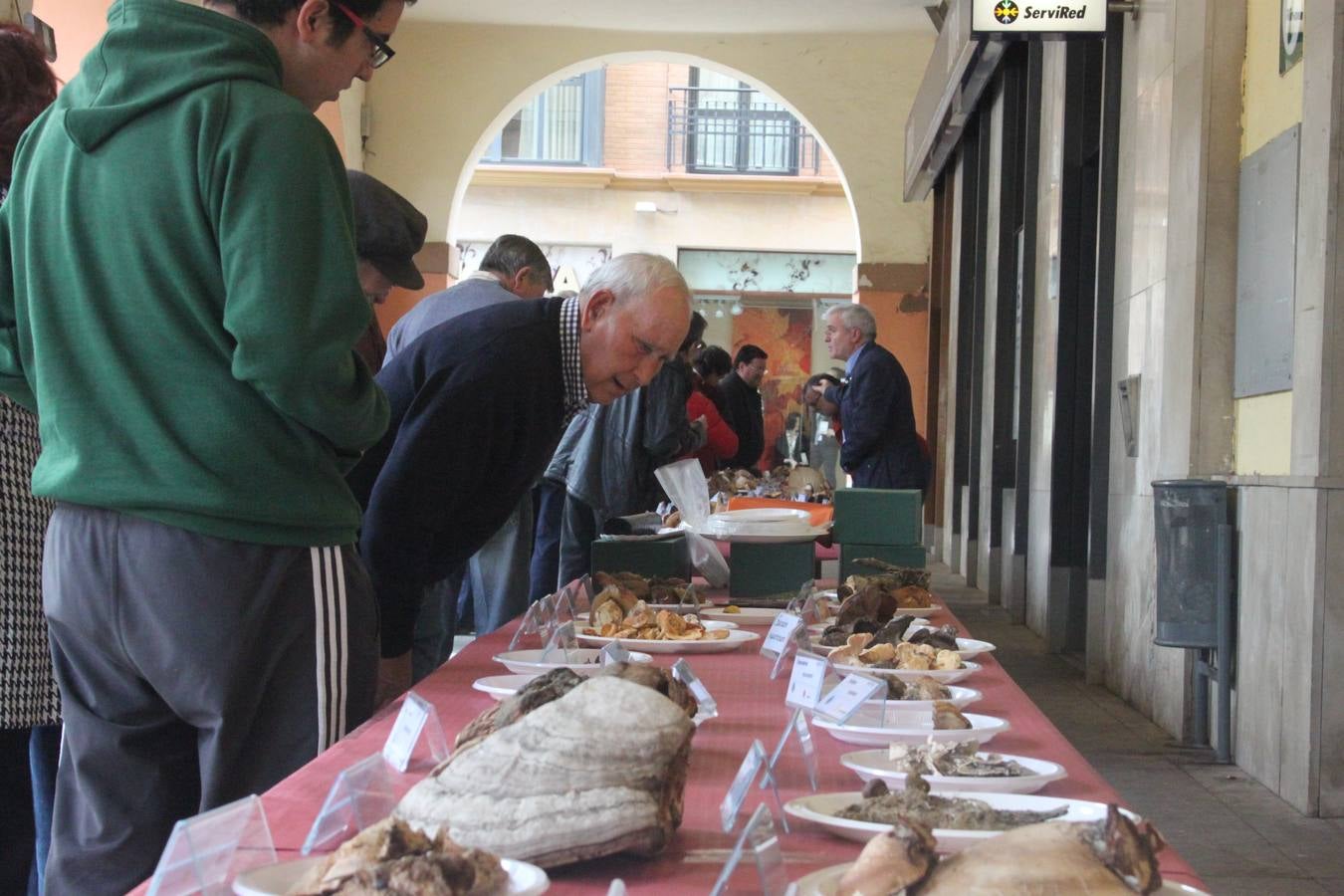 Jornadas micológicas en Alfaro