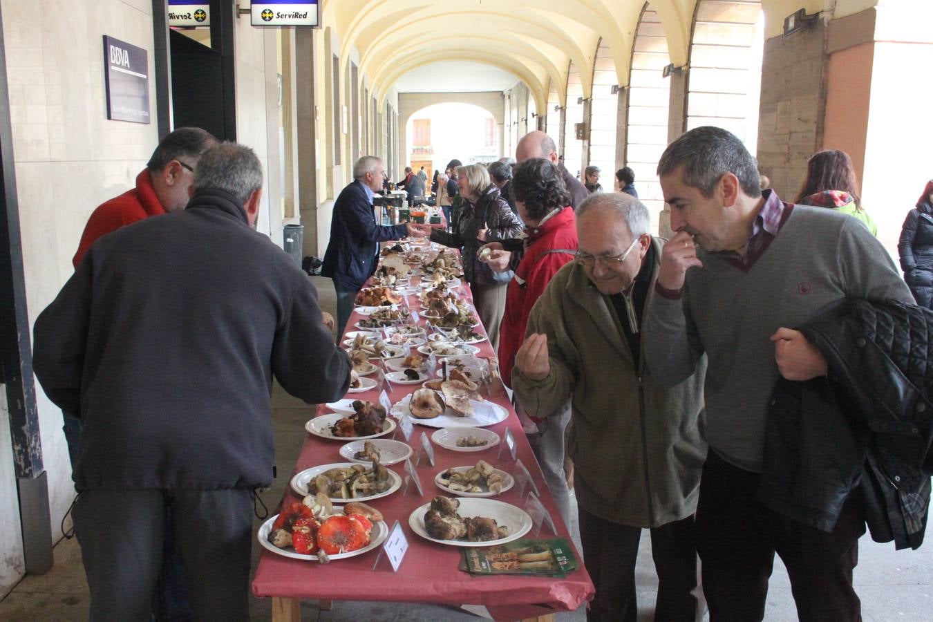 Jornadas micológicas en Alfaro