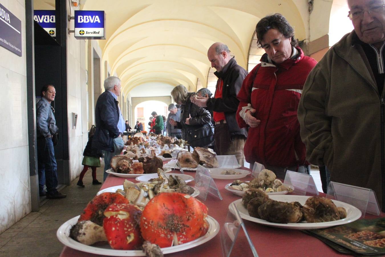 Jornadas micológicas en Alfaro