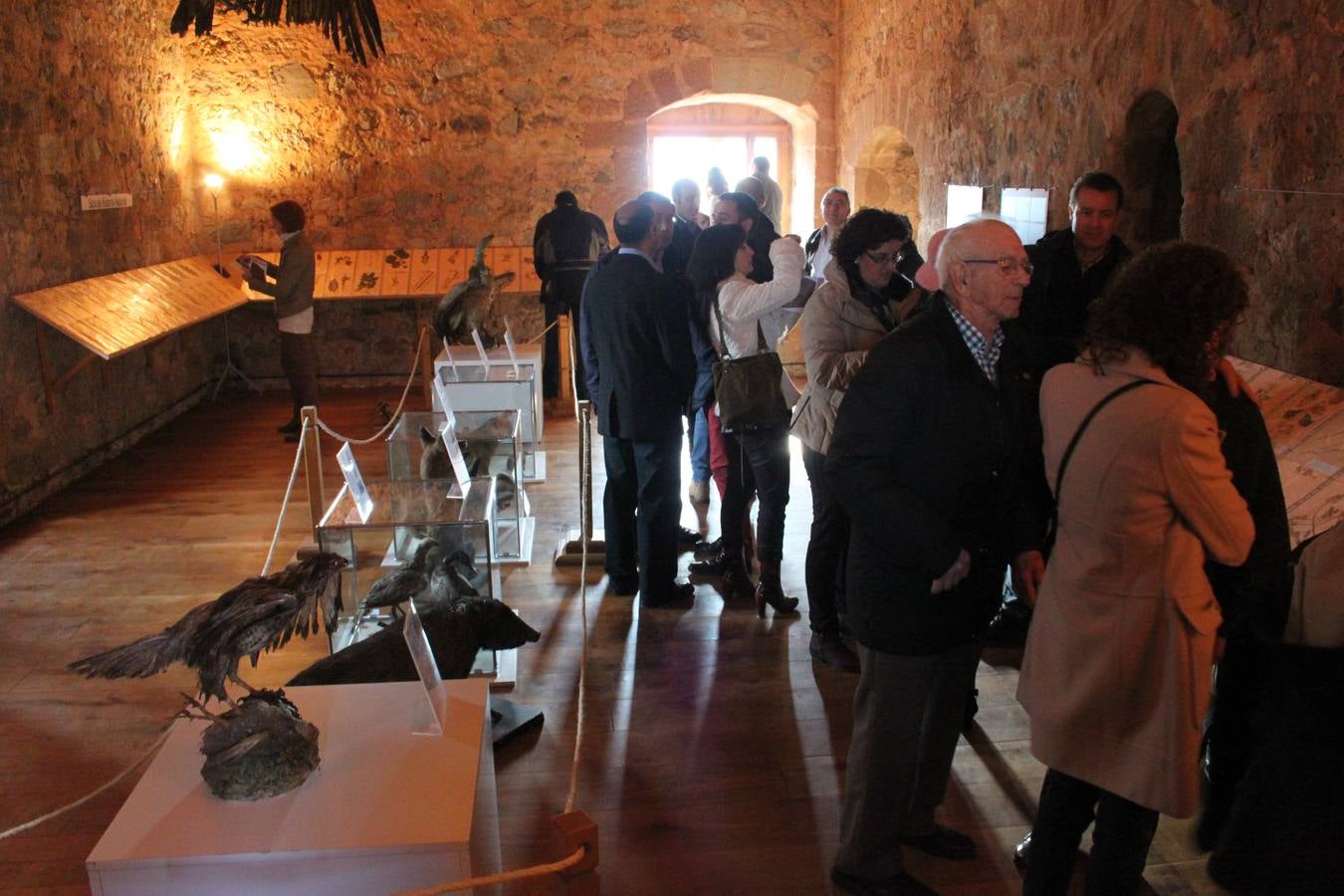 Inauguración de la cuarta fase del castillo de Préjano