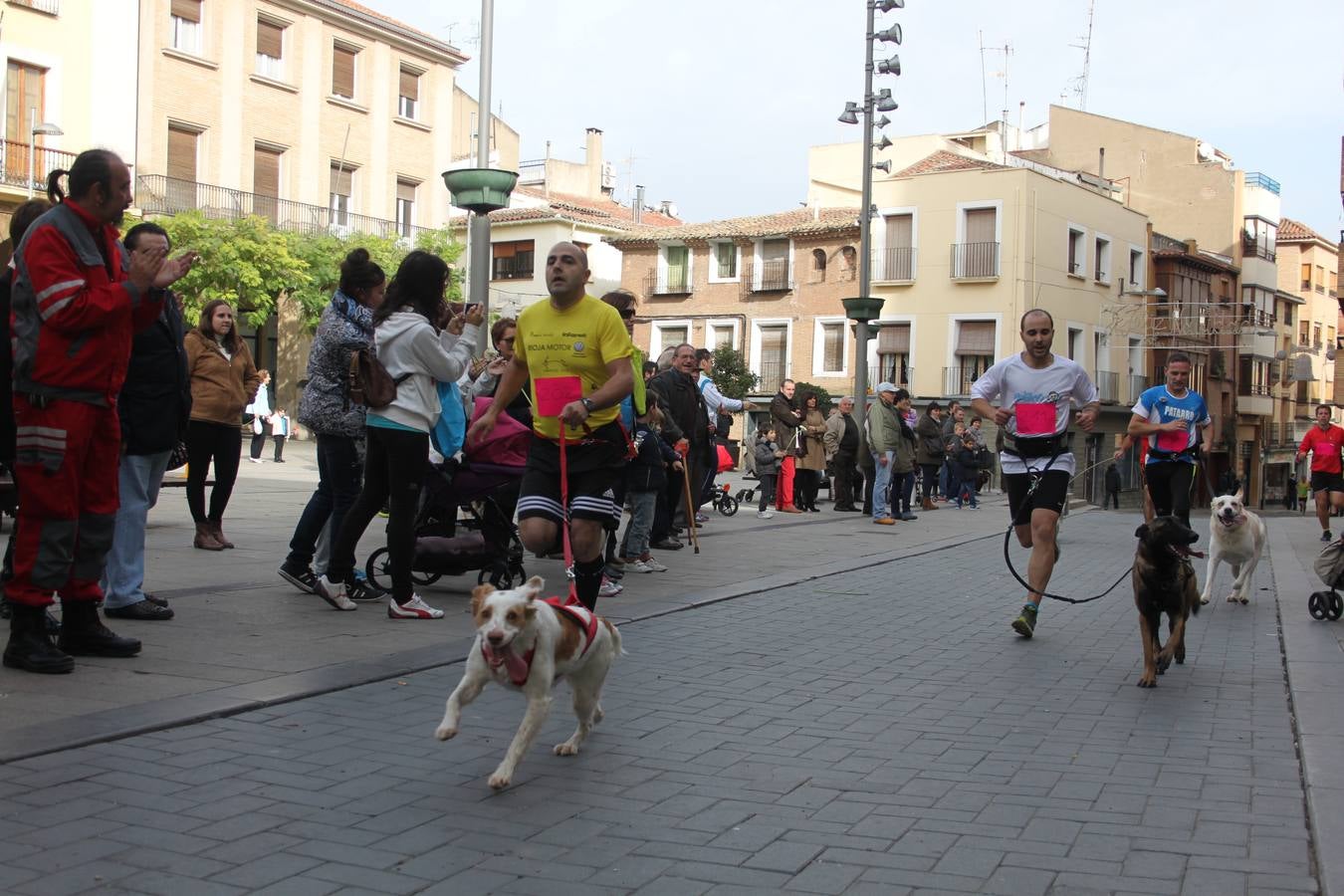 I Cani cross ciudad de Alfaro