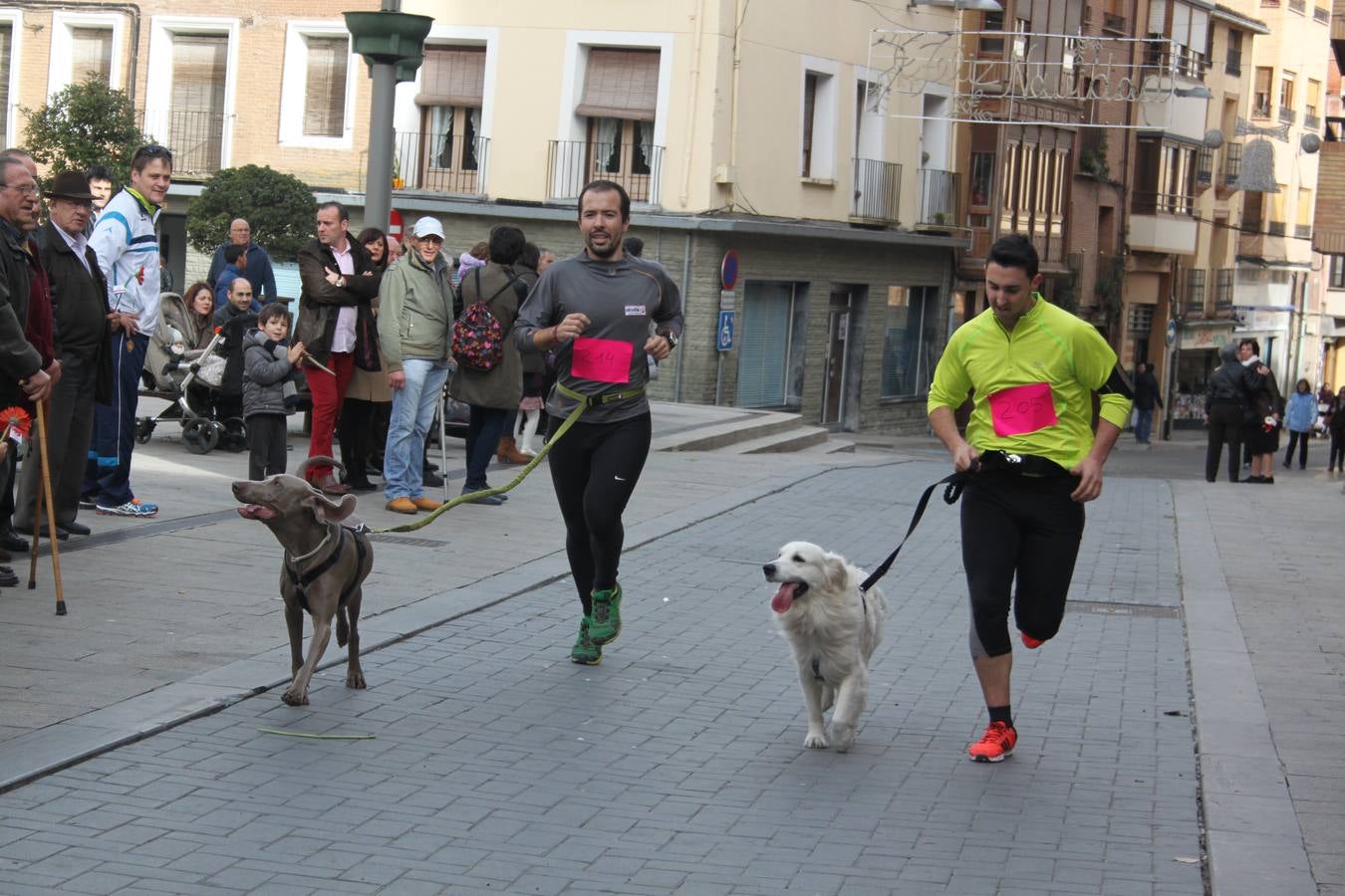 I Cani cross ciudad de Alfaro