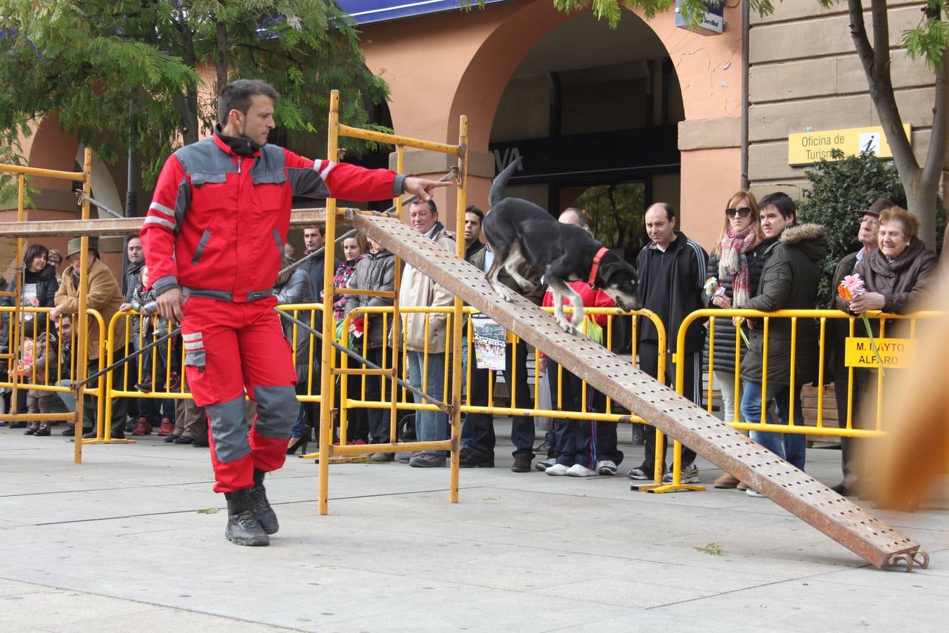 I Cani cross ciudad de Alfaro