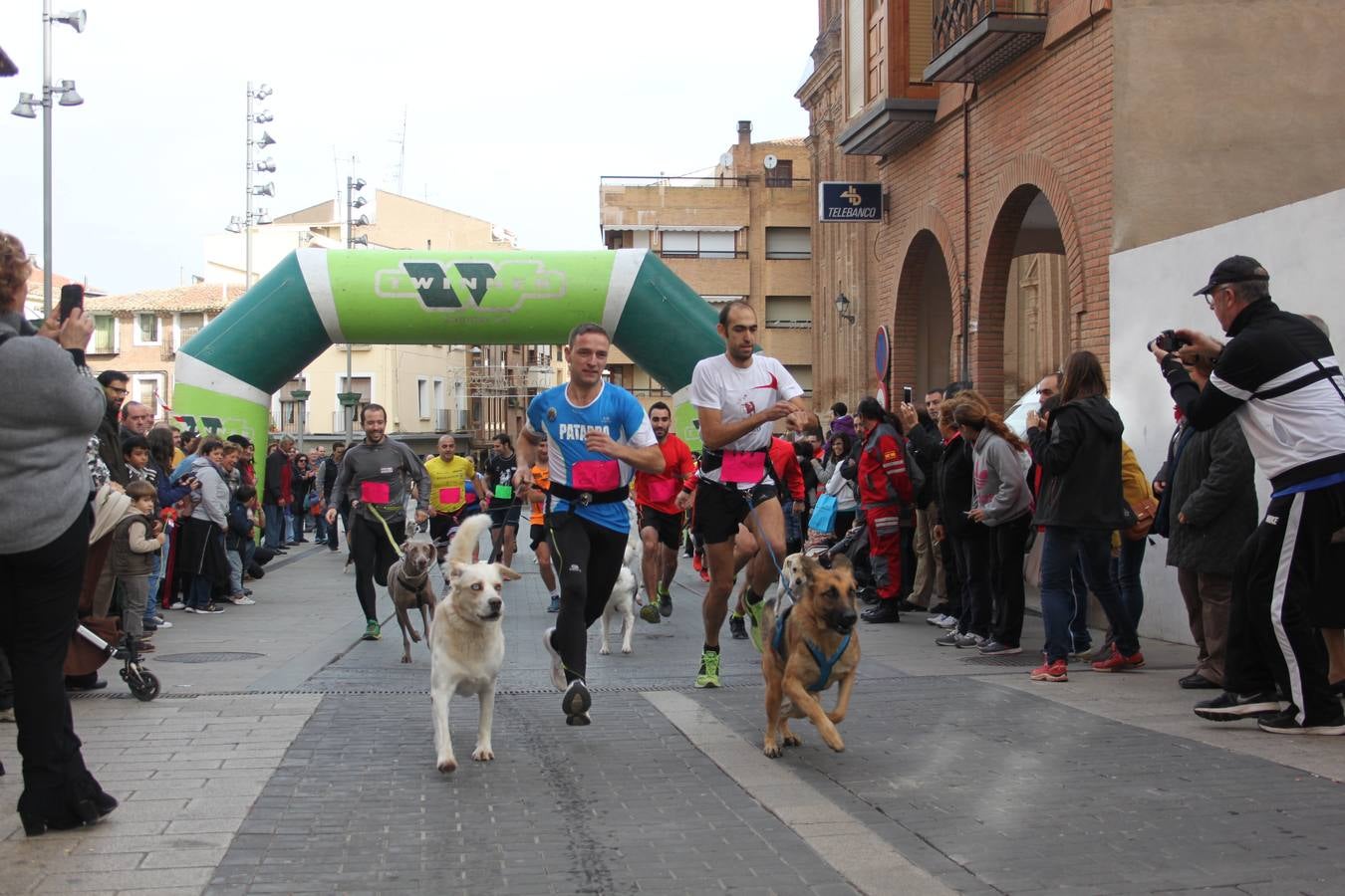 I Cani cross ciudad de Alfaro