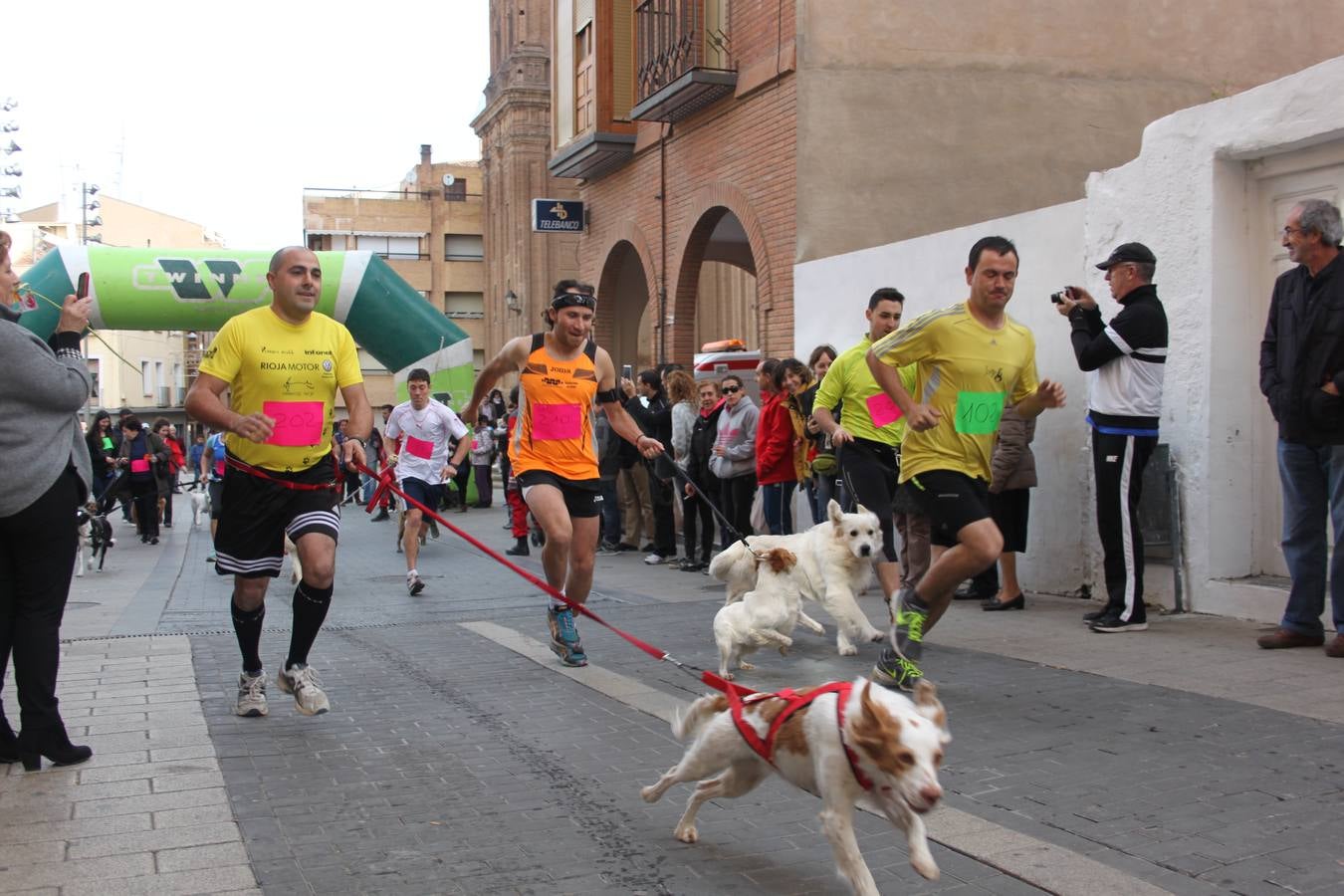 I Cani cross ciudad de Alfaro