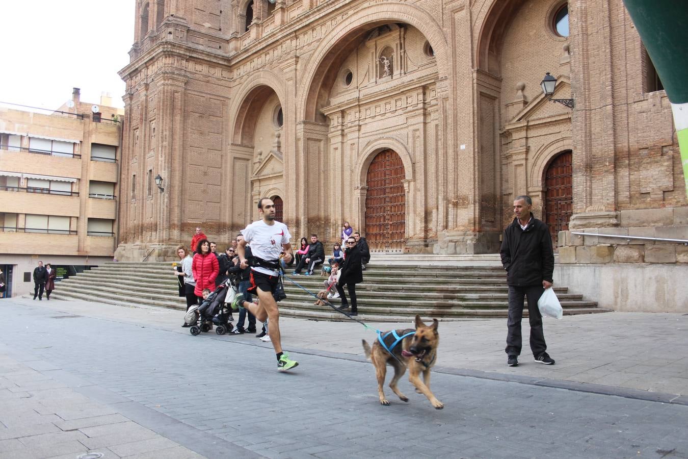 I Cani cross ciudad de Alfaro