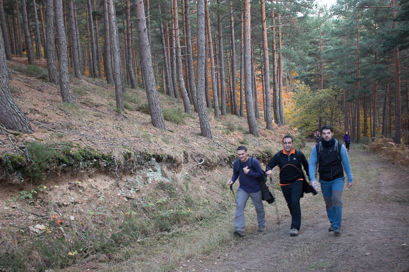 I Marcha Sampol Experience. El otoño calceatense en todo su esplendor