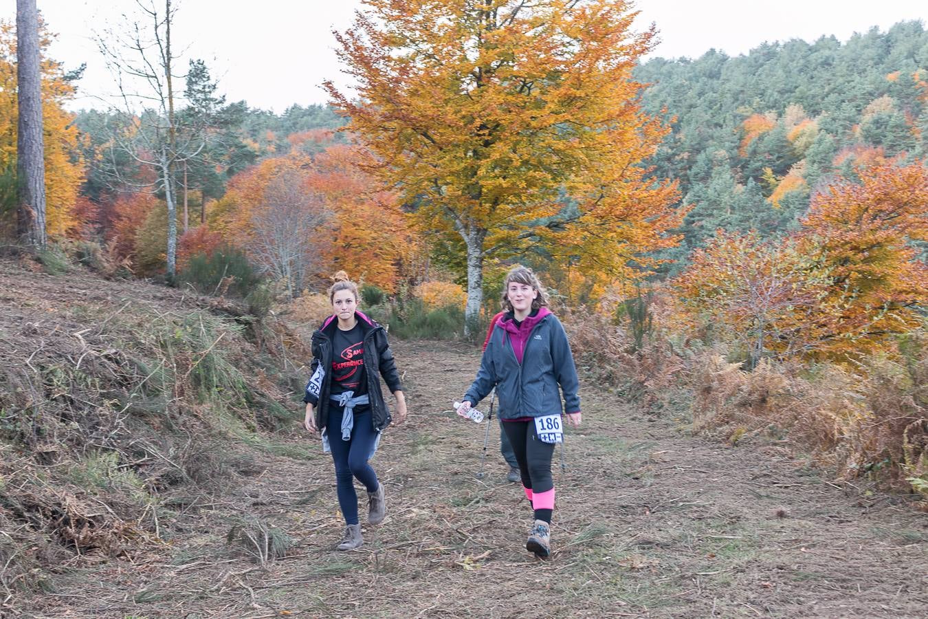 I Marcha Sampol Experience. El otoño calceatense en todo su esplendor