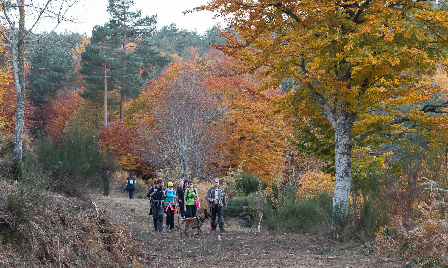 I Marcha Sampol Experience. El otoño calceatense en todo su esplendor