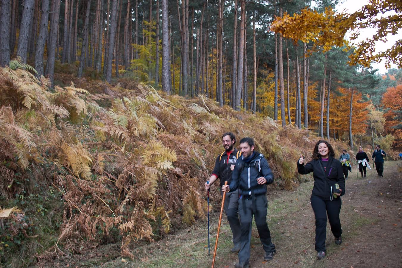 I Marcha Sampol Experience. El otoño calceatense en todo su esplendor