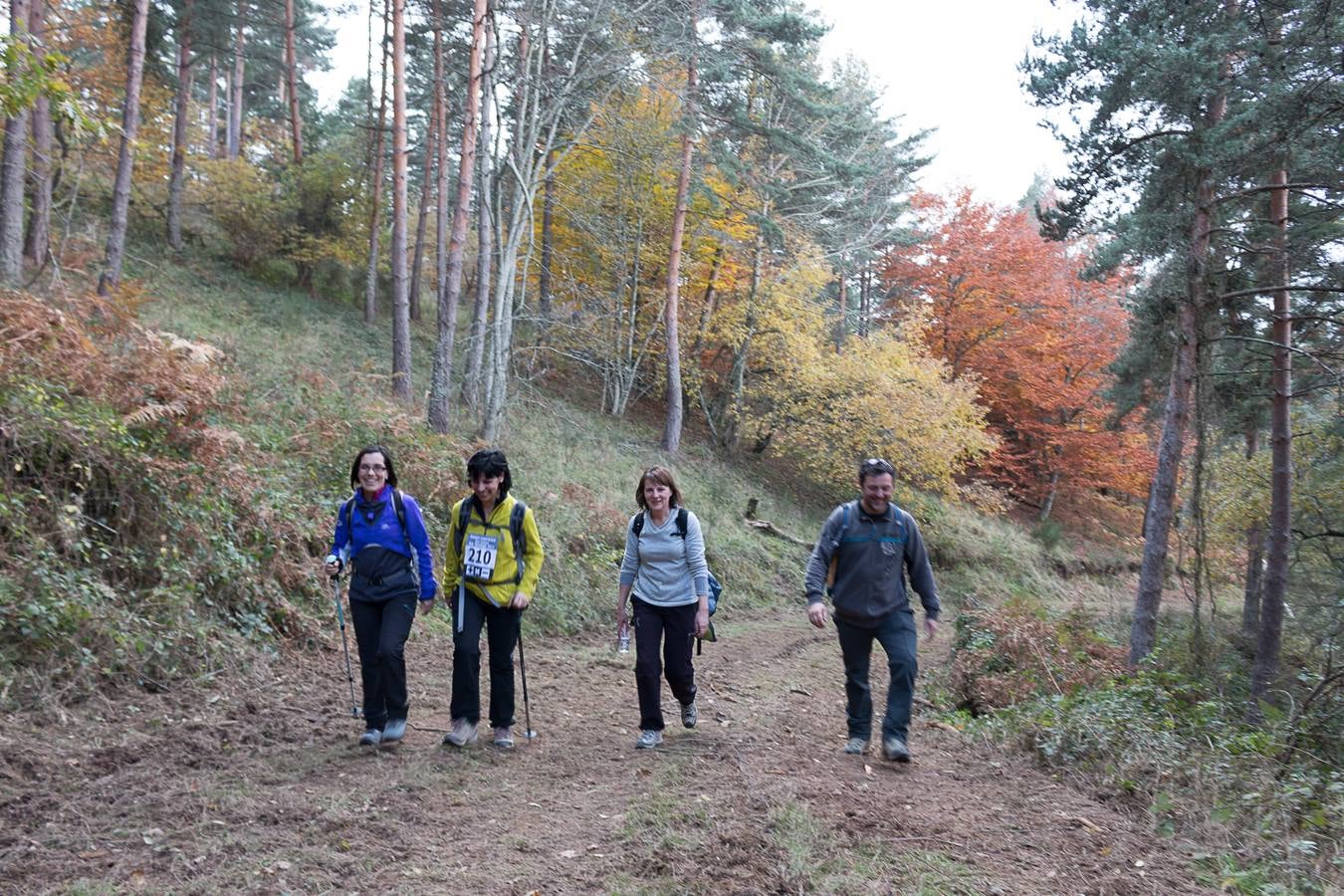 I Marcha Sampol Experience. El otoño calceatense en todo su esplendor