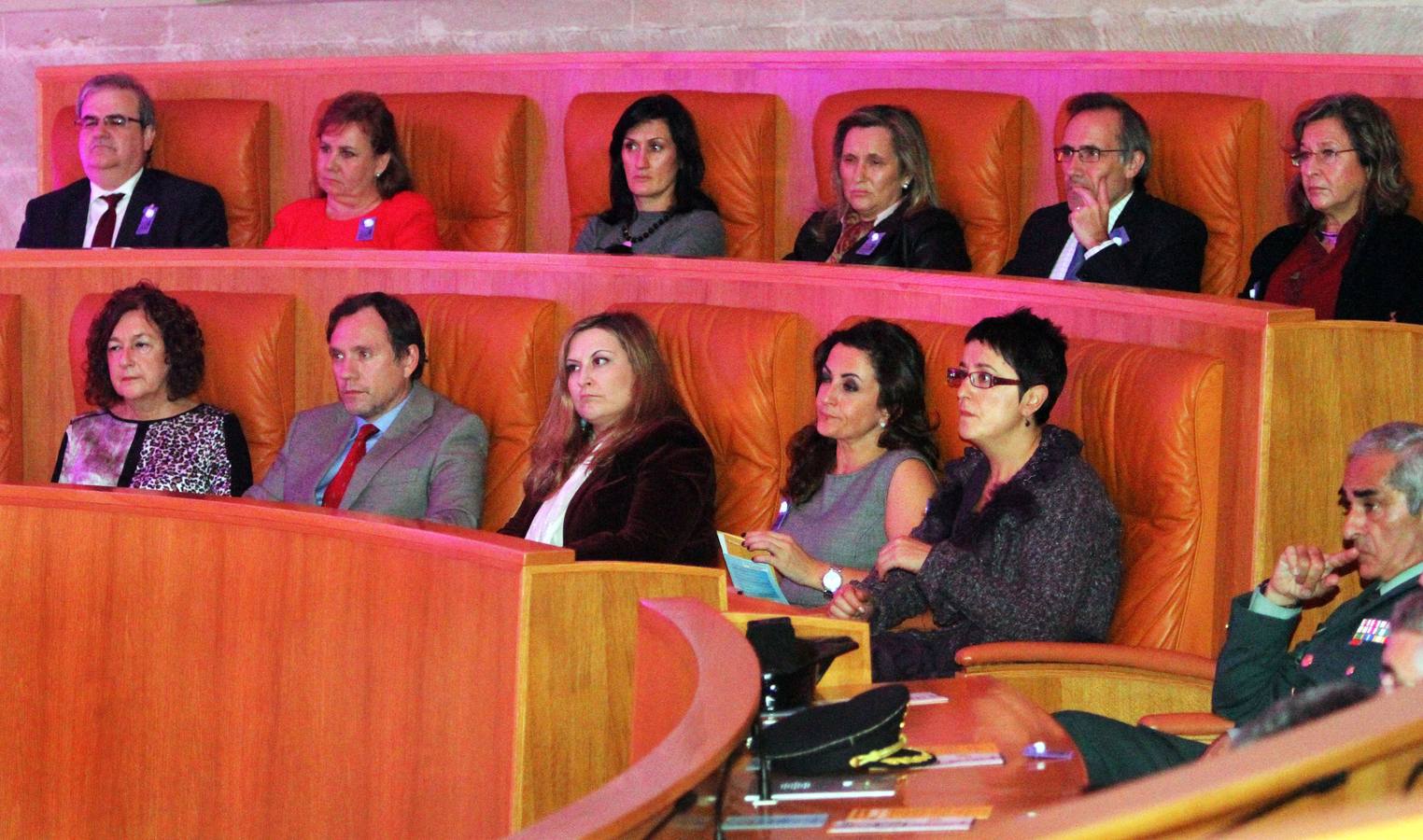 Acto institucional contra la violencia de género en el Parlamento riojano