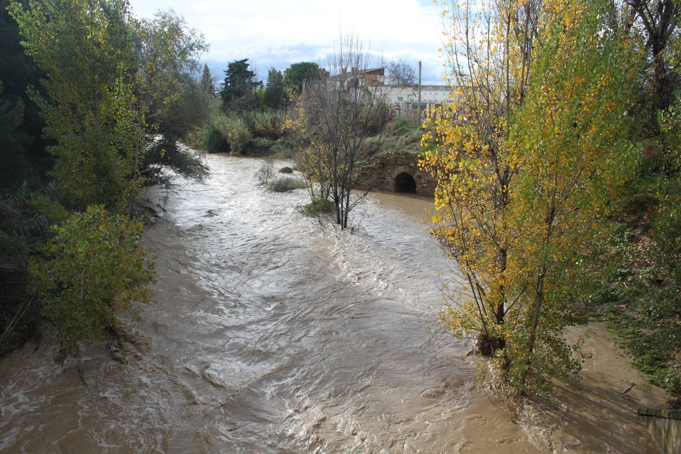 El Alhama pasa crecido sobre el ninfeo en Alfaro.