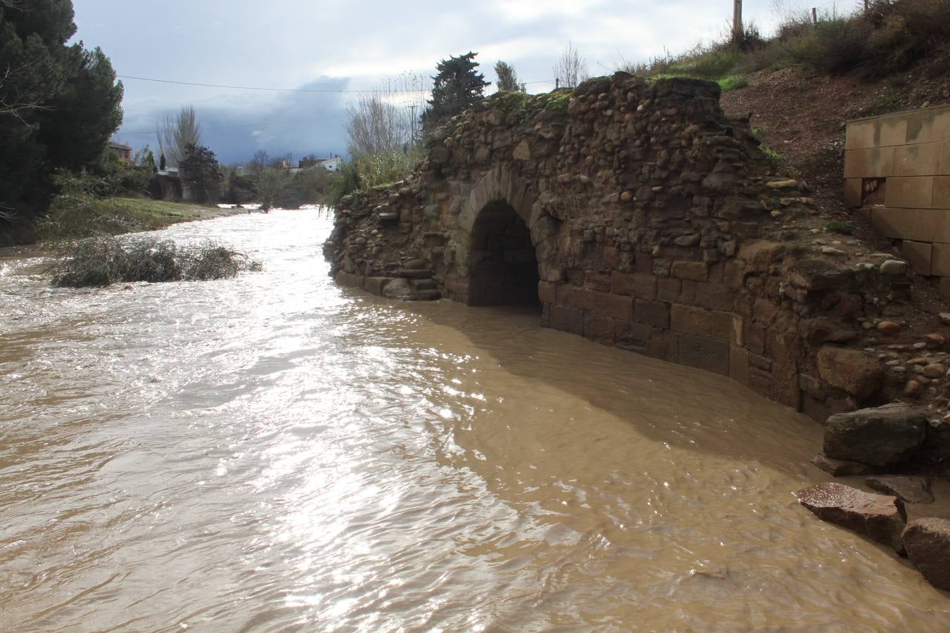 Alfaro: El Alhama ninfeo inundado varias zonas a su paso.