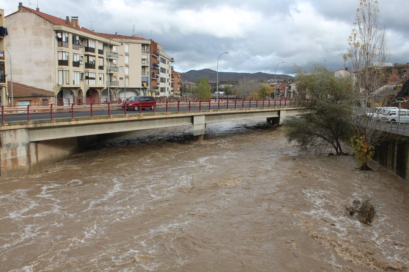 El temporal en La Rioja Baja, en imágenes