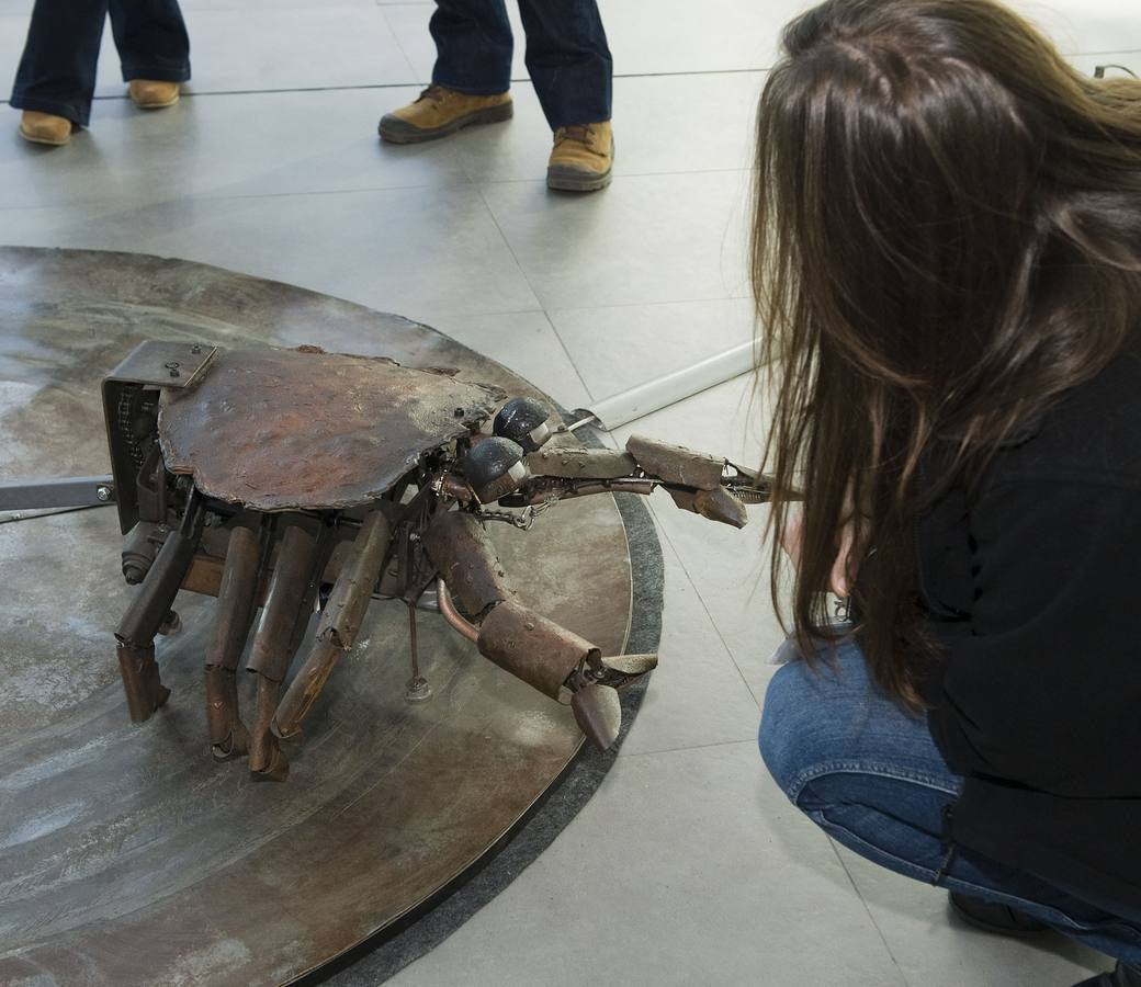 &#039;Vida Acuática&#039; en el Wurth