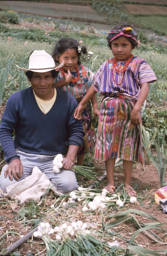 Doscientas miradas a América Latina