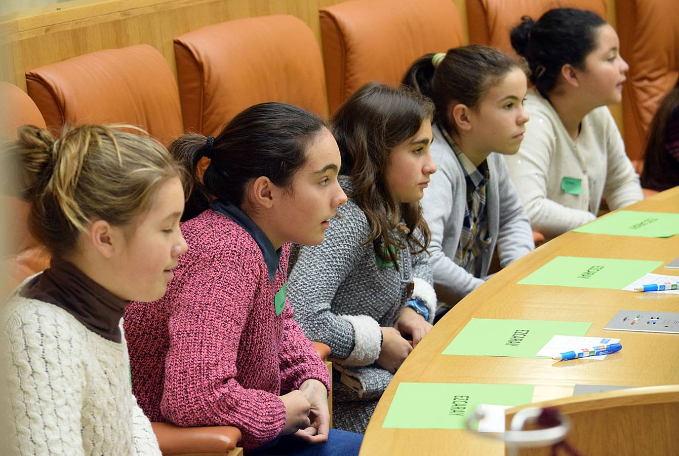 Aldeas Infantiles lleva a los escolares al Parlamento