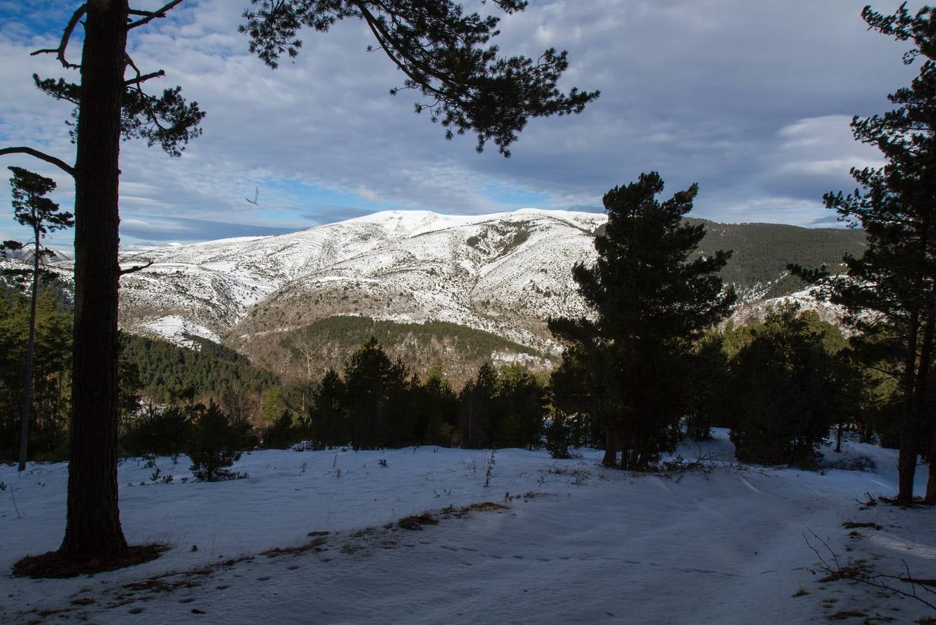 Postales de invierno