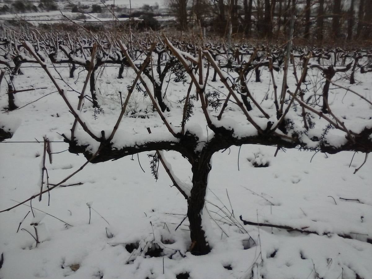 La Rioja entra en alerta amarilla tras la nieve del fin de semana