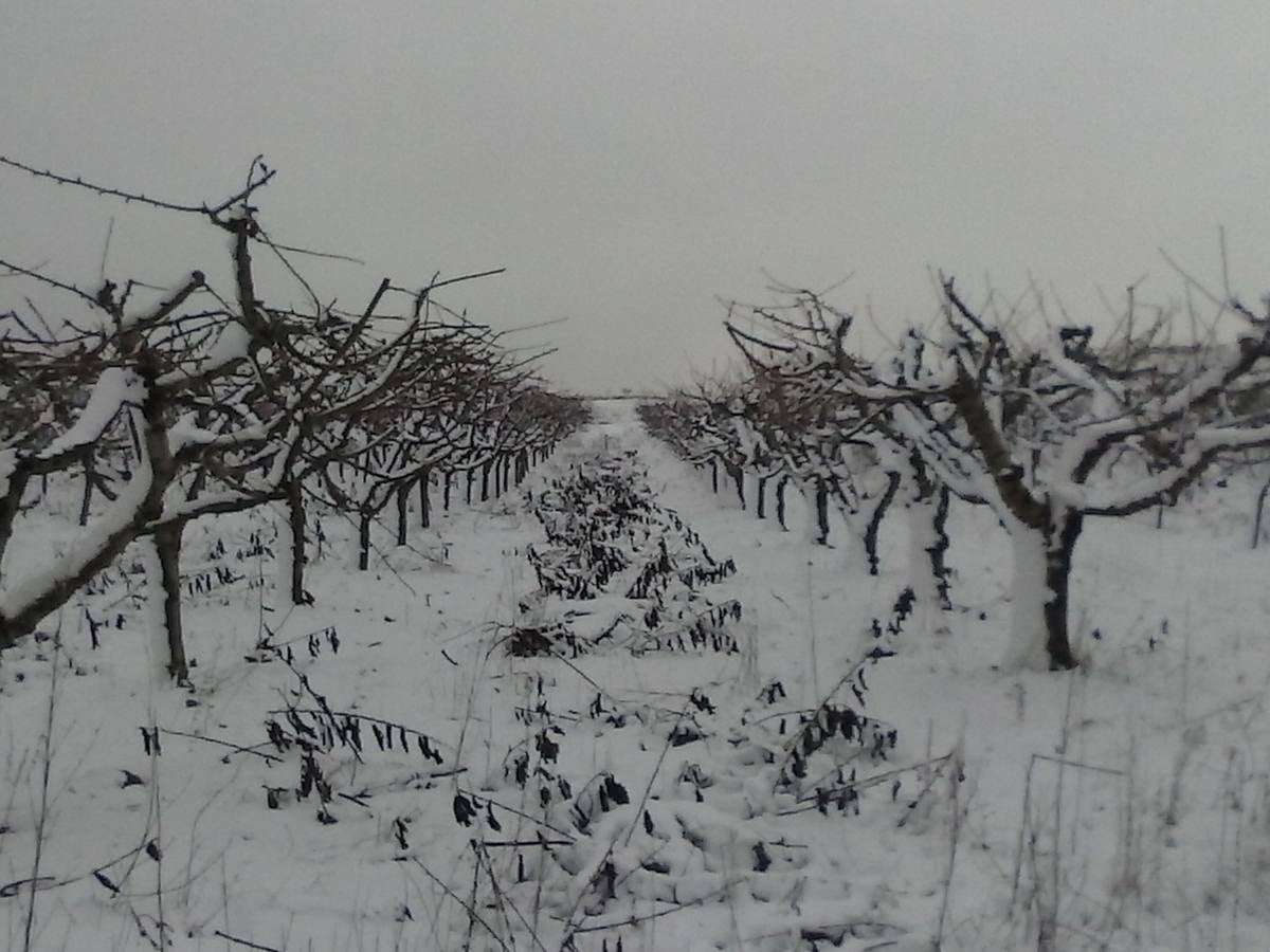 La Rioja entra en alerta amarilla tras la nieve del fin de semana