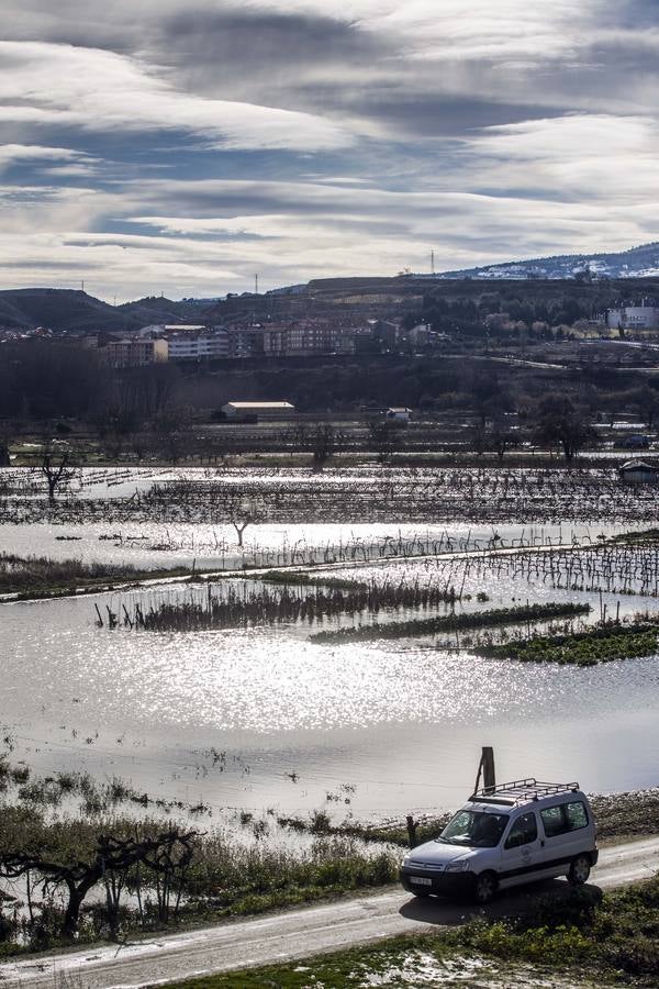 Los efectos del temporal