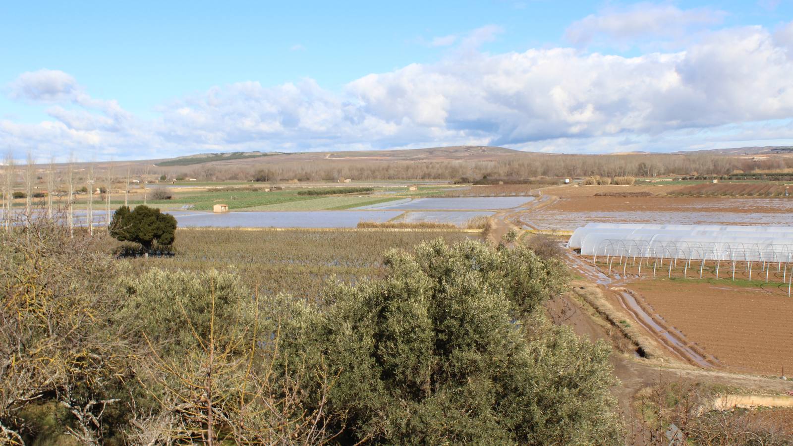 Los campos de Calahorra, anegados tras la riada