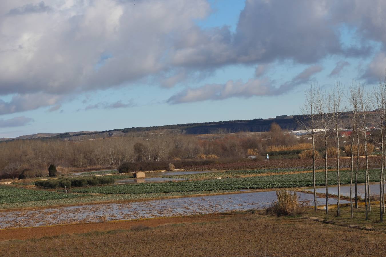 Los campos de Calahorra, anegados tras la riada