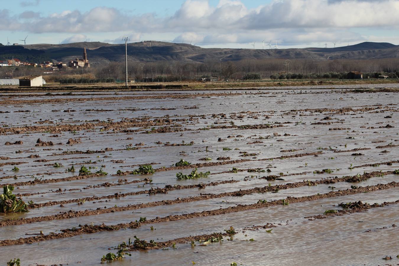 Los campos de Calahorra, anegados tras la riada