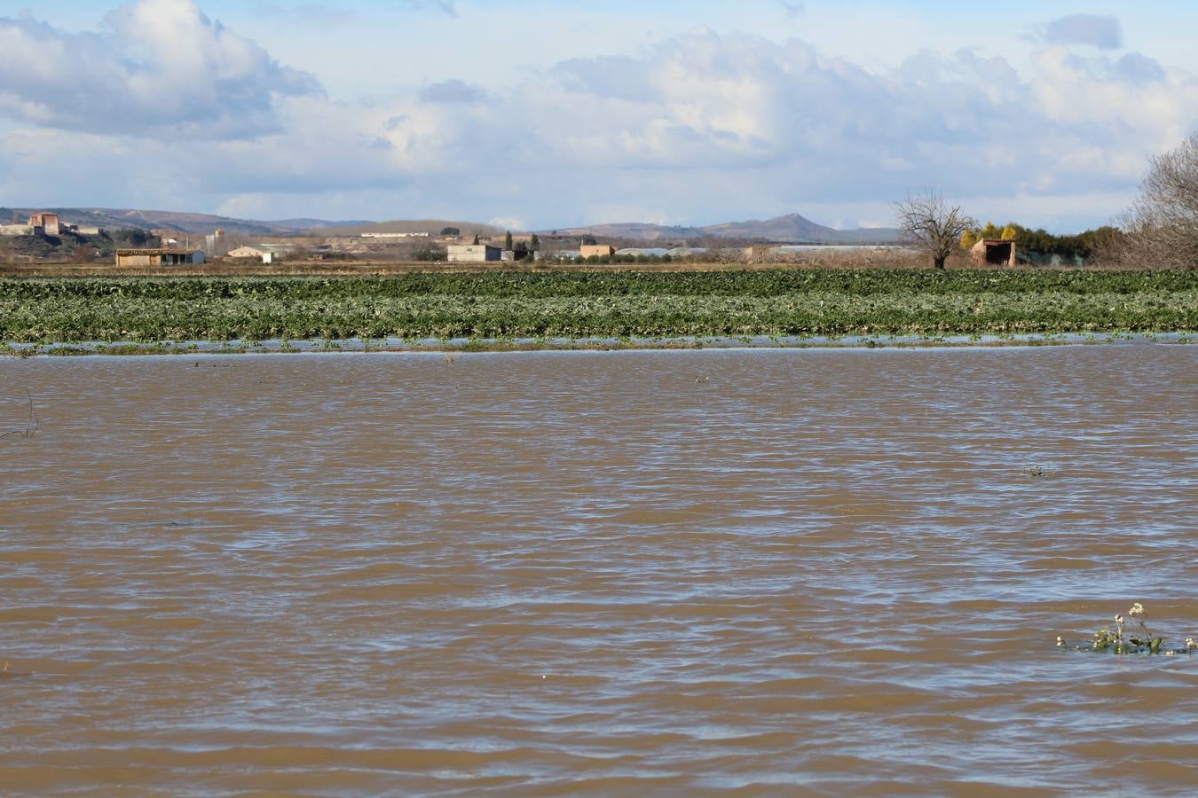 Los campos de Calahorra, anegados tras la riada