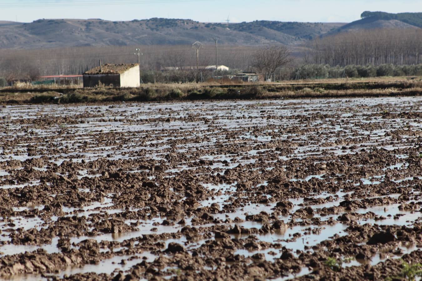 Los campos de Calahorra, anegados tras la riada