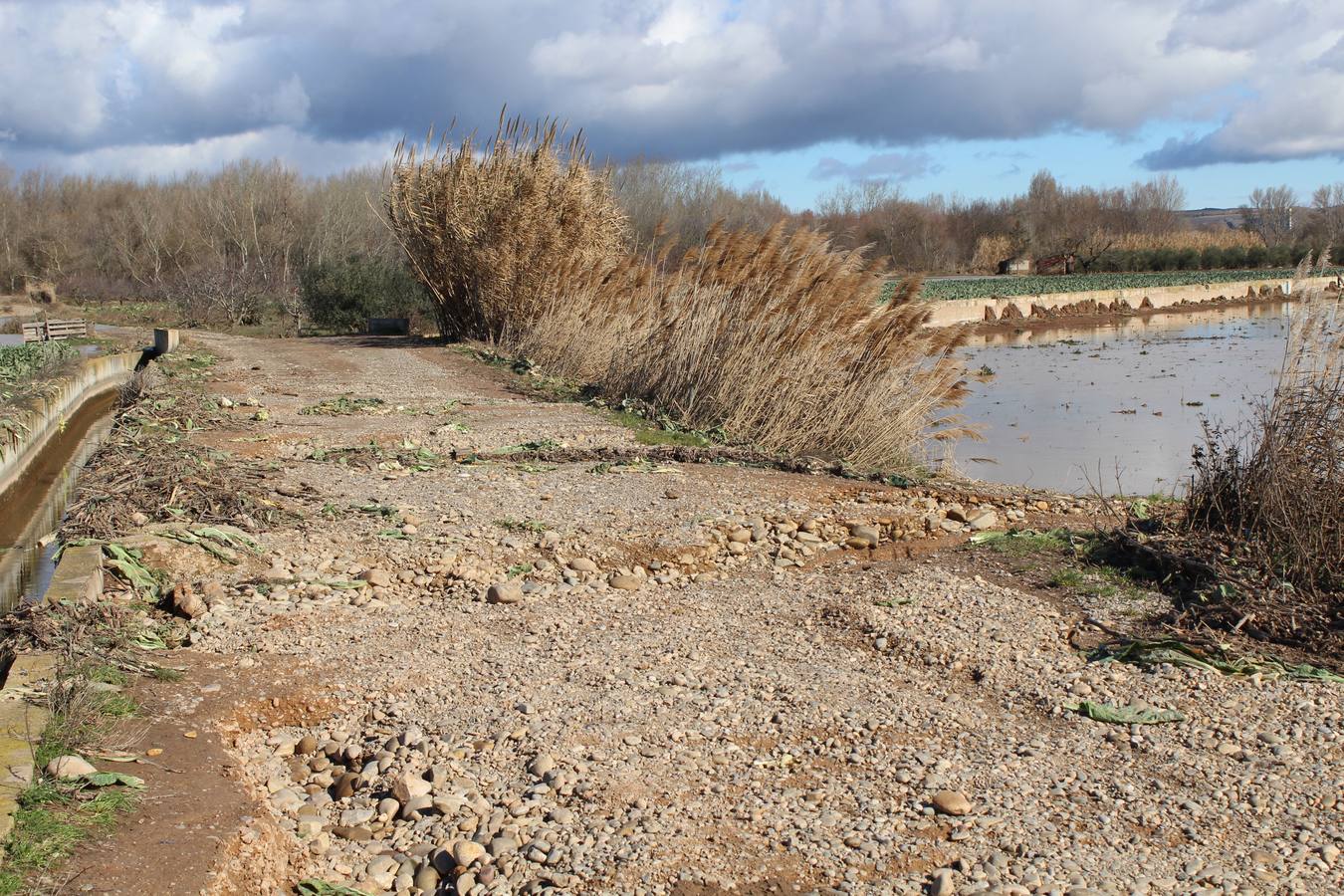 Los campos de Calahorra, anegados tras la riada