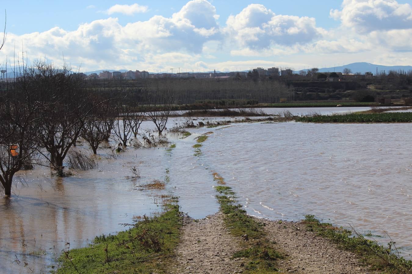 Los campos de Calahorra, anegados tras la riada