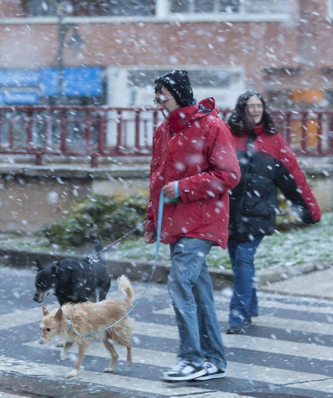 Otro día en blanco en Logroño