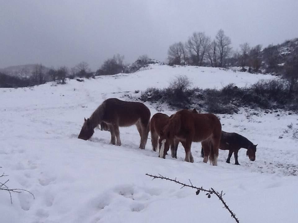 La nieve cubre La Rioja