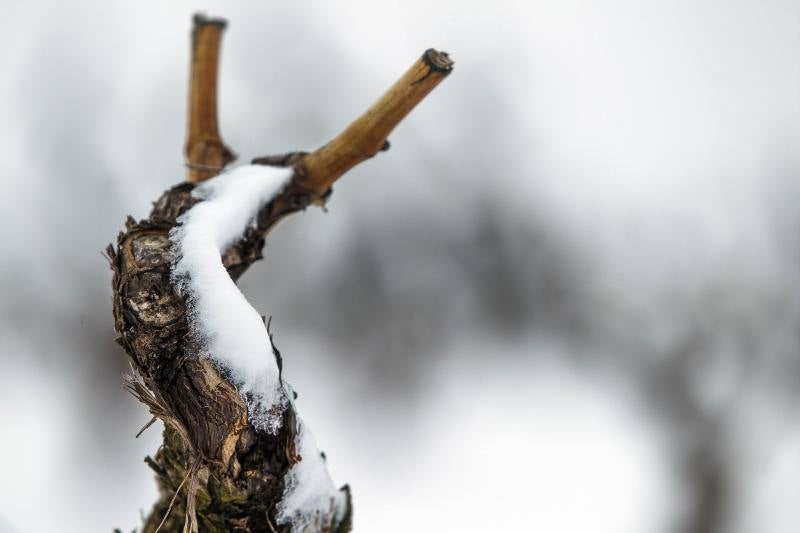 La nieve cubre La Rioja