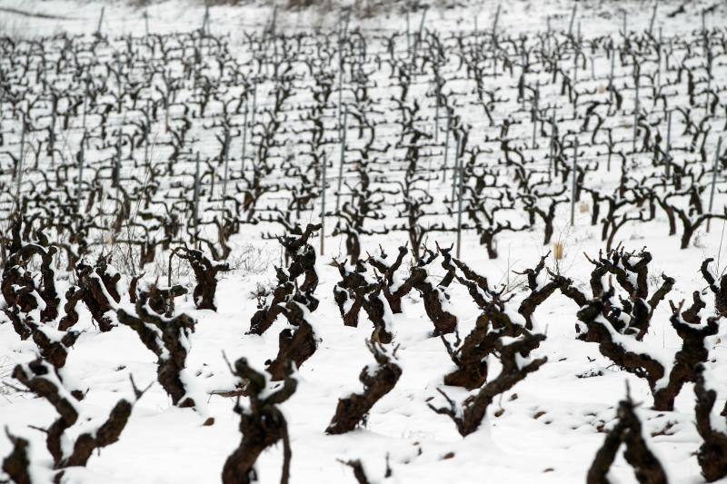 La nieve cubre La Rioja